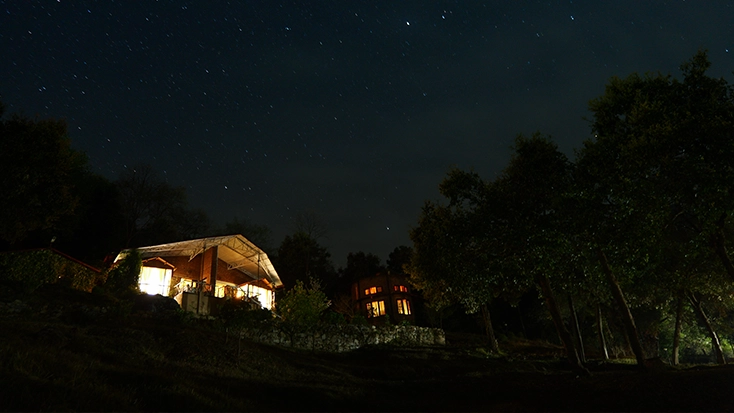 Starry night