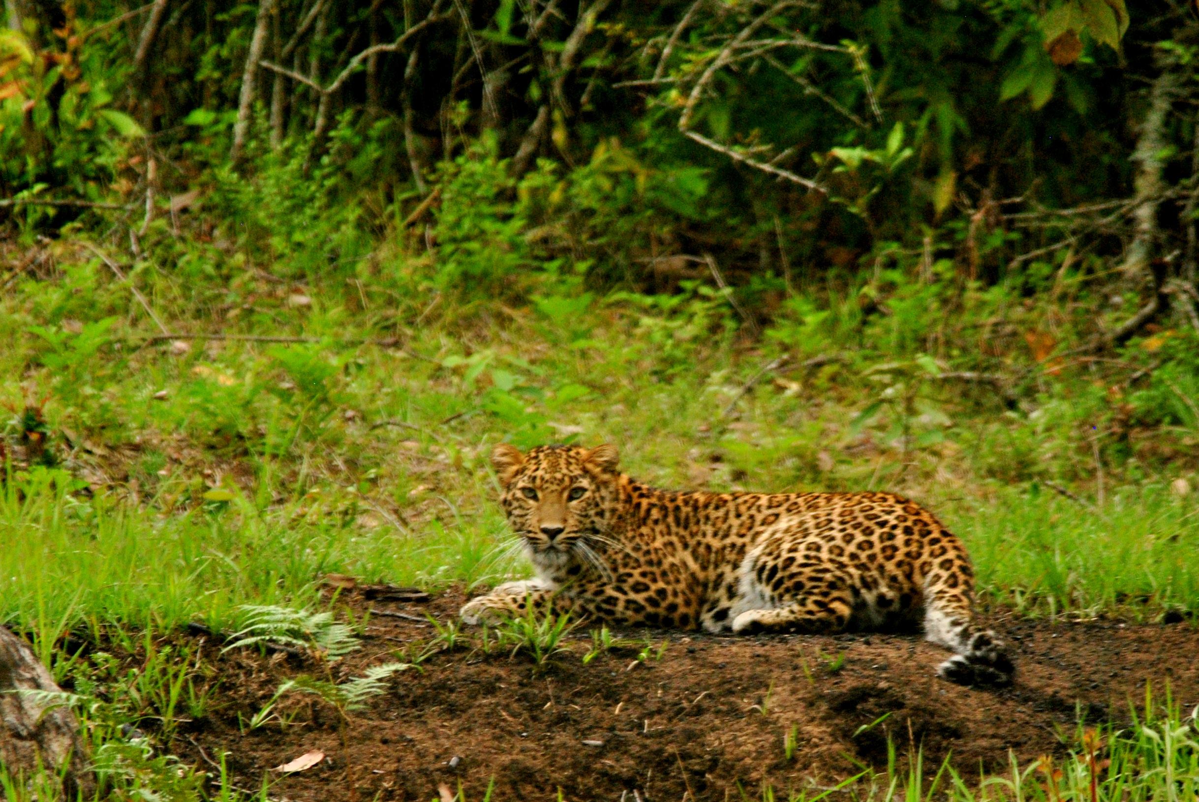 Slow down. Pause. Experience.