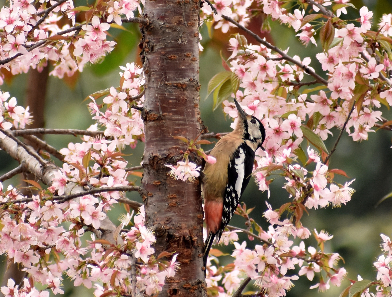 Slow down. Pause. Experience.