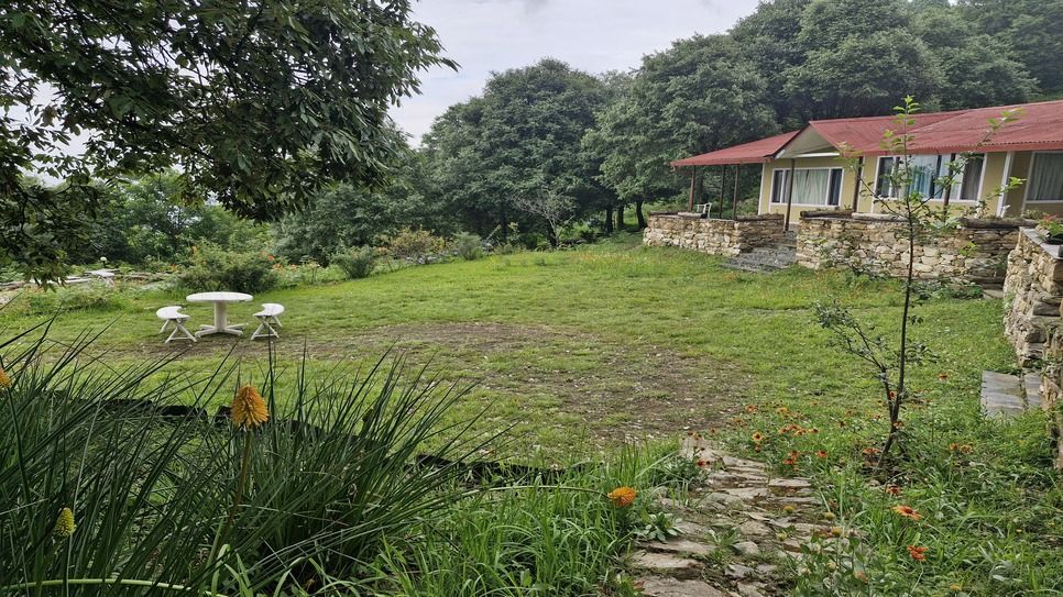 The Luxury of Being Invisible: Finding Absolute Solitude in a 1,000-Acre Forest