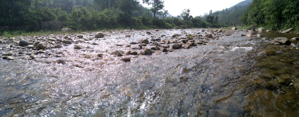 Gallery Featured Image