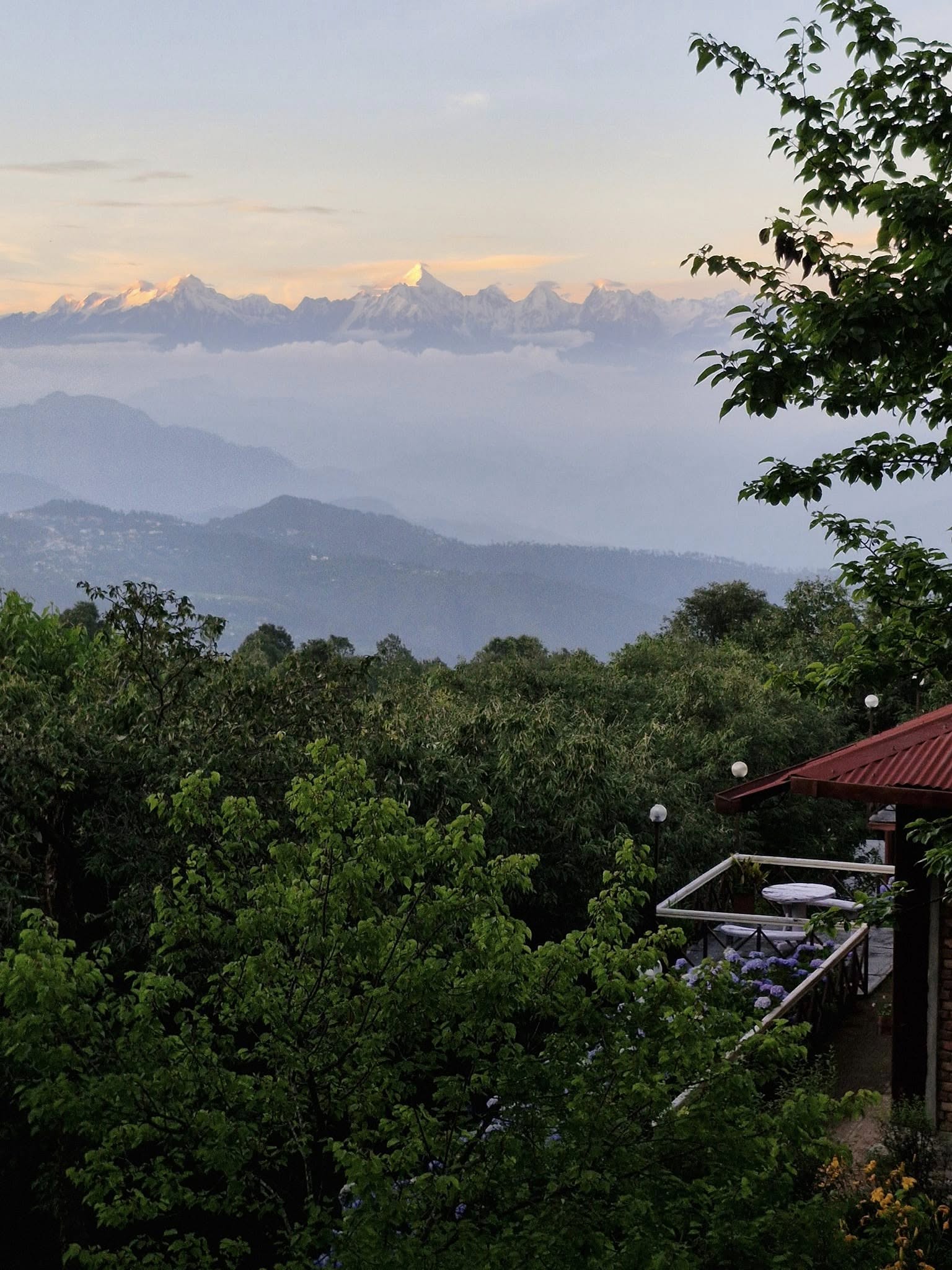 Gallery Featured Image