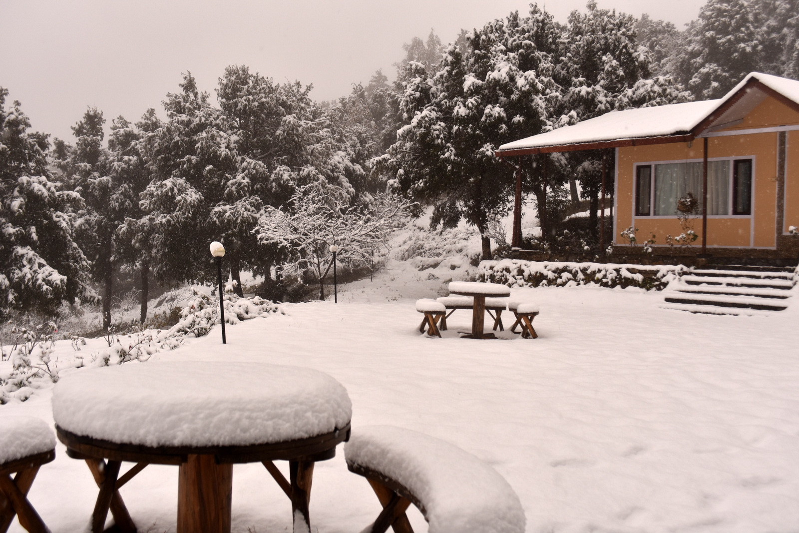 Gallery Featured Image