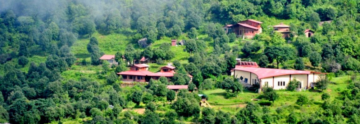 Gallery Featured Image